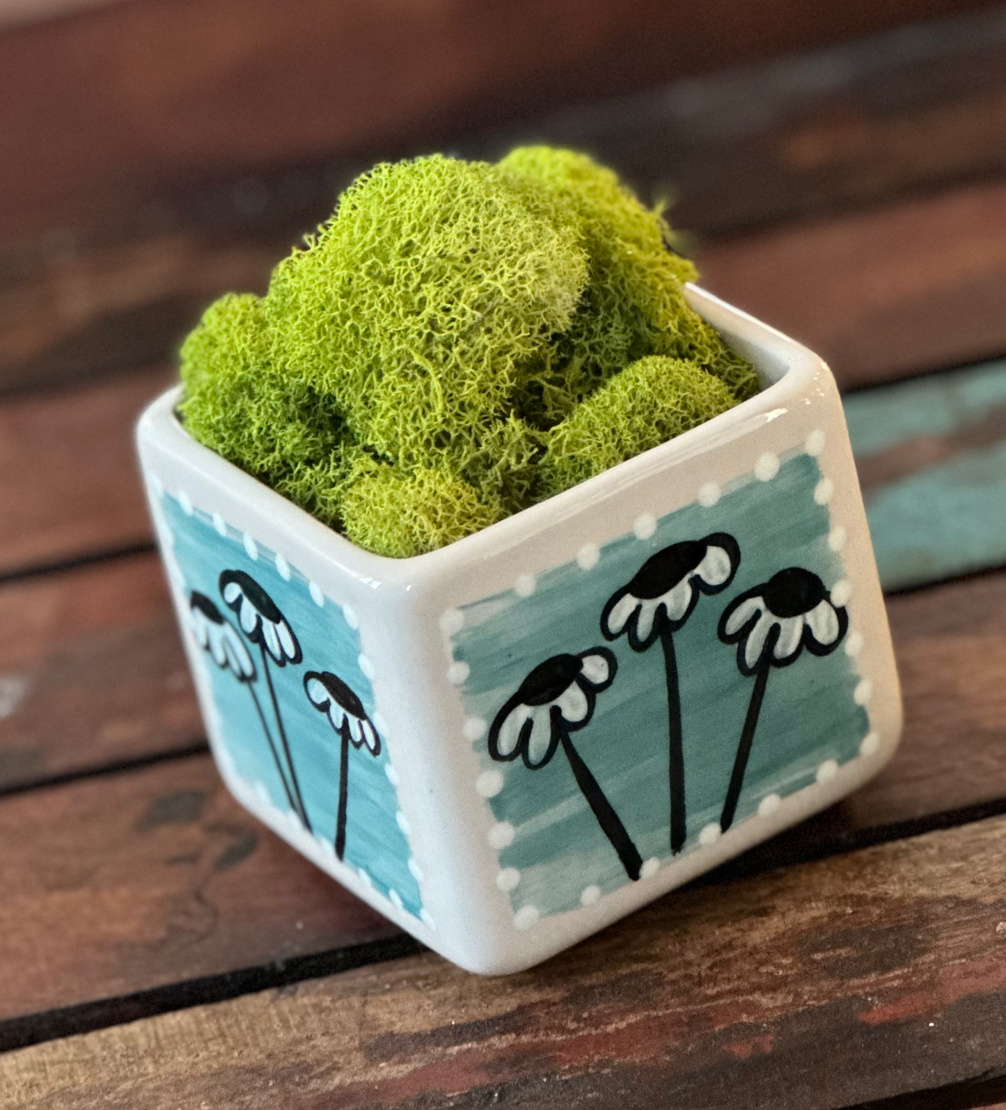 Cube Succulent Planter "Blue/Green"