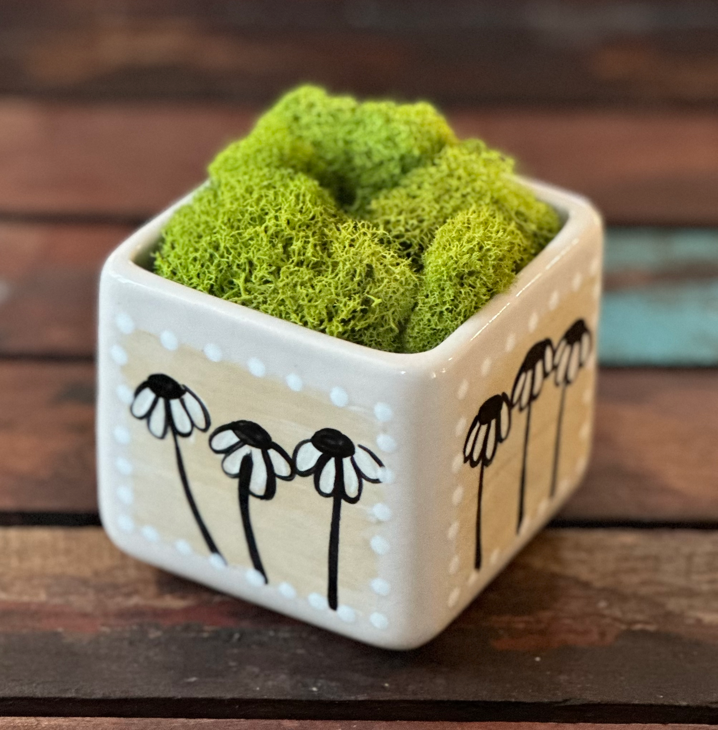 Cube Succulent Planter "Cream"