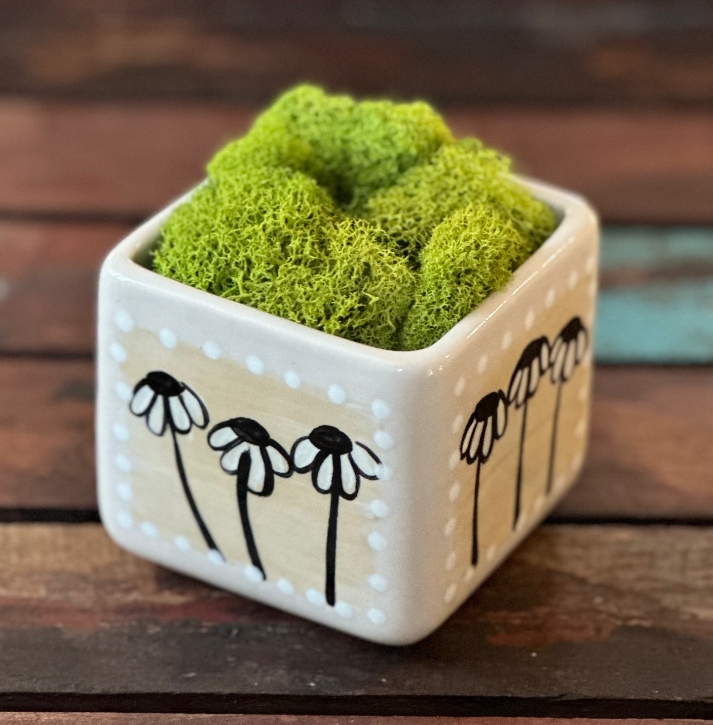 Cube Succulent Planter "Blue/Green"