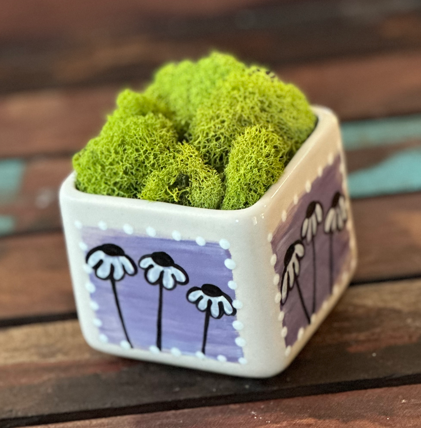 Cube Succulent Planter "Cream"