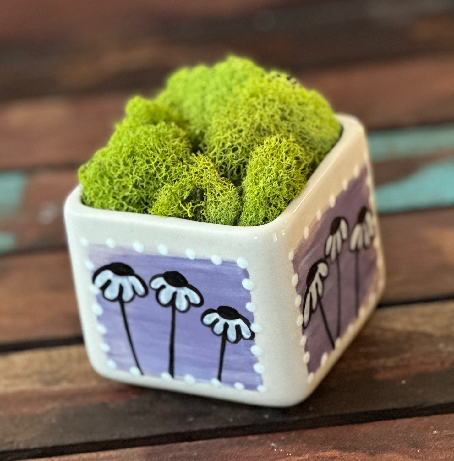 Cube Succulent Planter "Blue/Green"